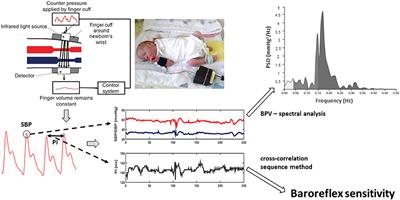 Blood Pressure Variability and Baroreflex Sensitivity in Premature Newborns—An Effect of Postconceptional and Gestational Age